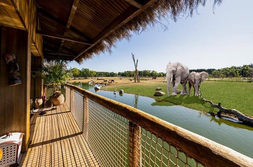 West Midlands Safari Park, United Kingdom